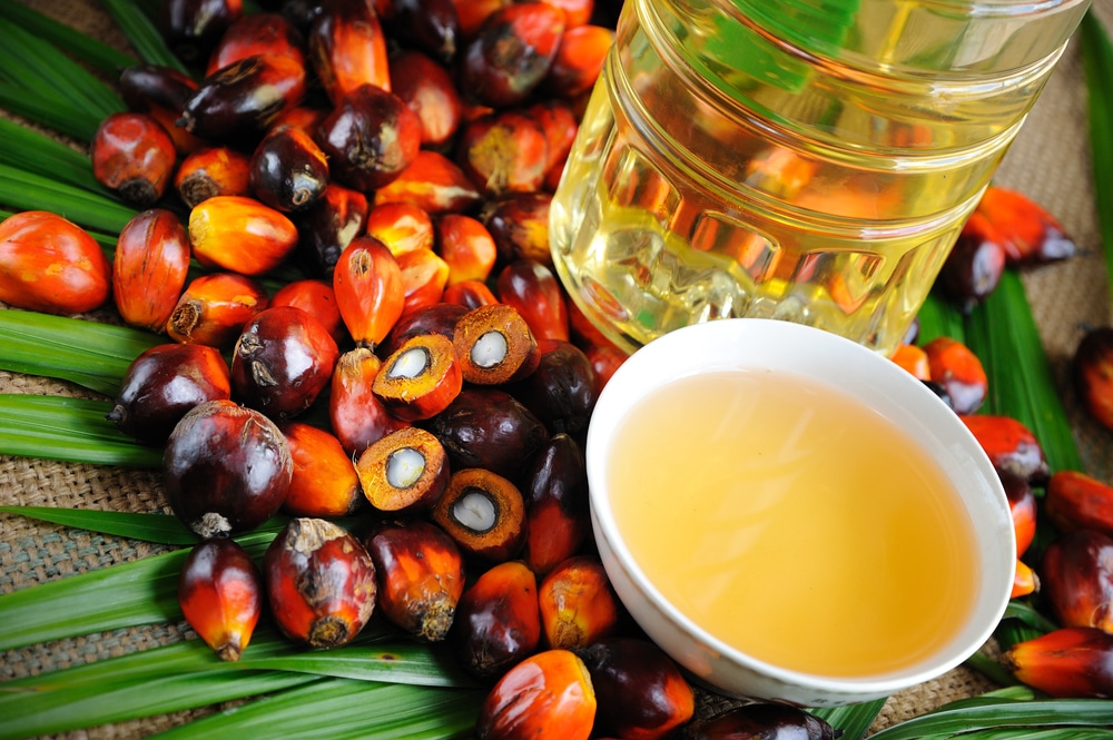 Palmölfreie Produkte und Rezepte für Ihre Bistrotheke